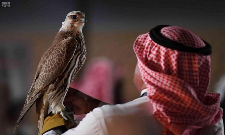 بيع صقرين بأكثر من ربع مليون ريال في مزاد نادي الصقور السعودي