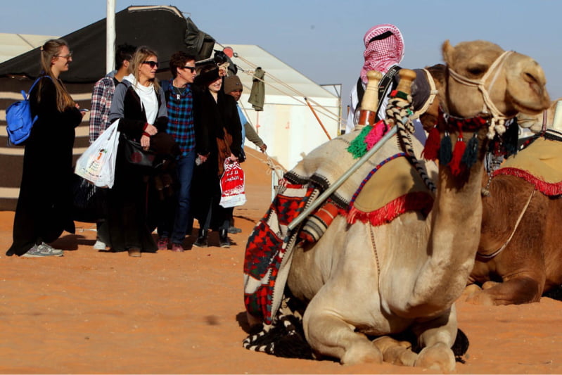 مهرجان الملك عبدالعزيز للإبل 13500 عدد مزاين الإبل المشاركة ونجاح ملموس في الفعاليات صحيفة 