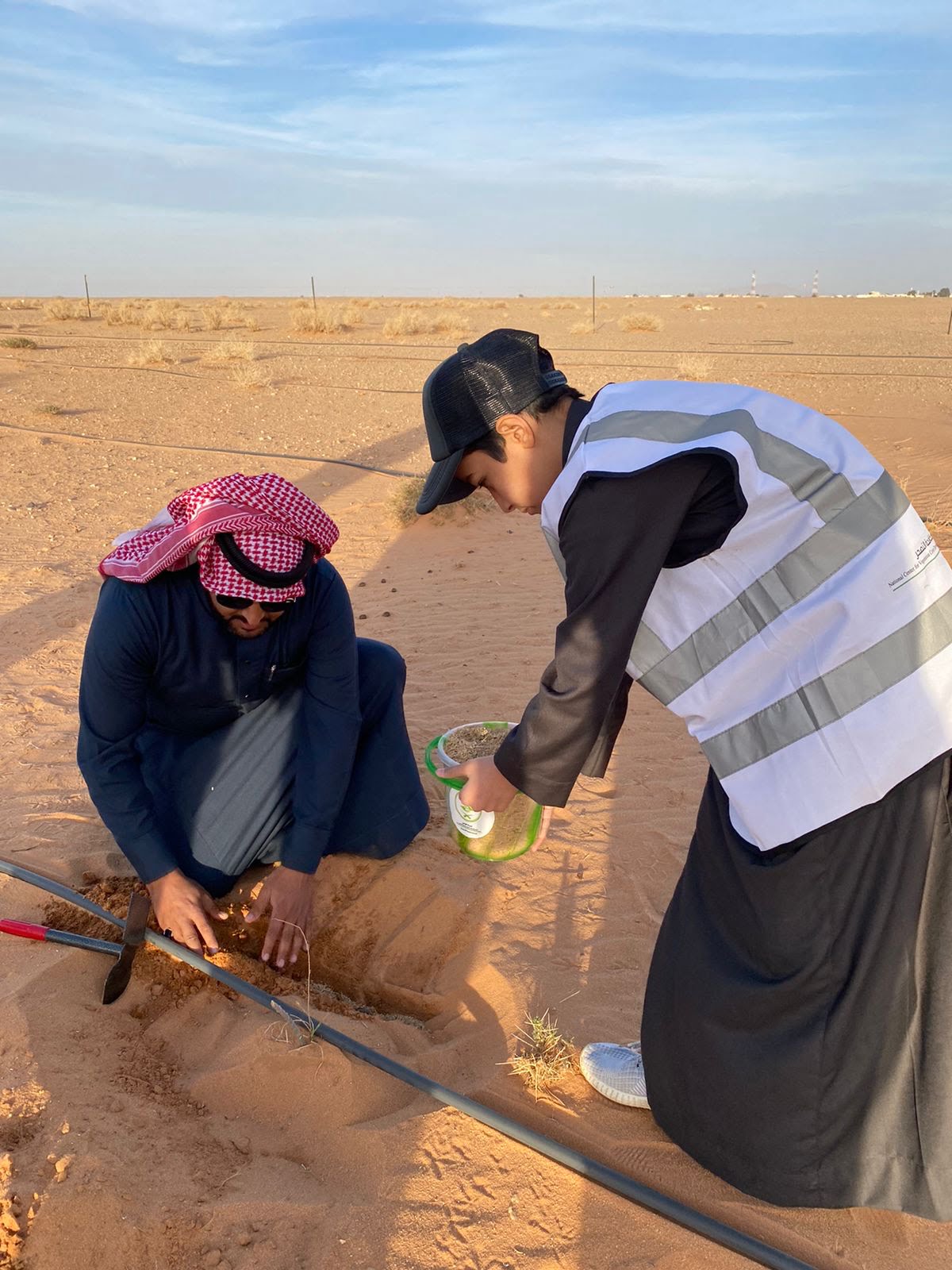 وظائف المركز الوطني لتنمية الغطاء النباتي ومكافحة التصحر