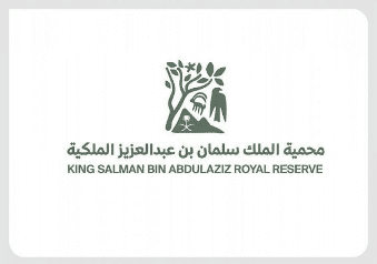 مهرجان هيـئة تطوير محميـة المـلك سلمـان بن عبد العزيز الملكية يختتم فعالياته
